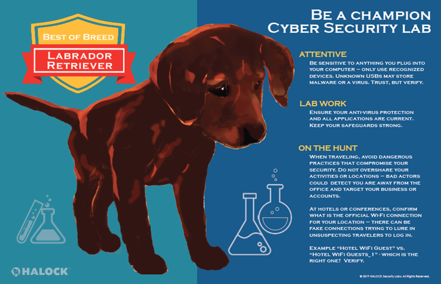 Cyber security awareness Labrador