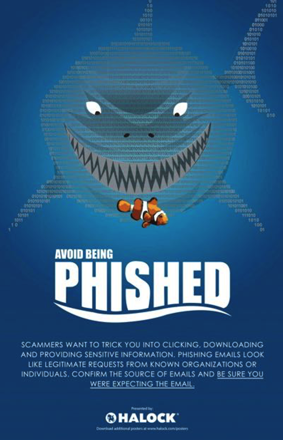 Phishing Risk Reasonable Security