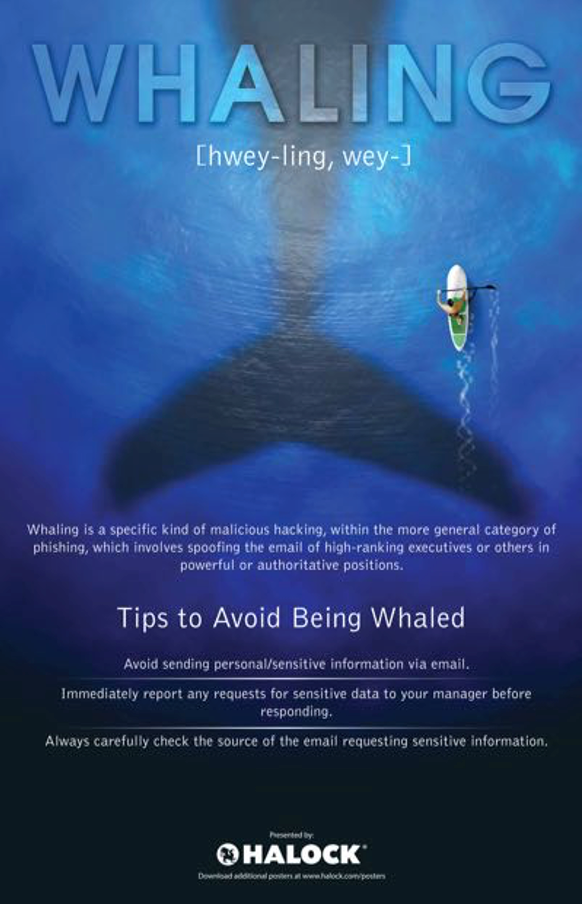 Whaling Cyber Risk