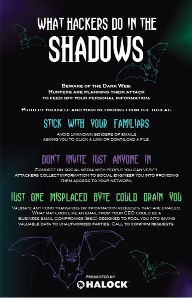 What Hackers Do In The Shadows