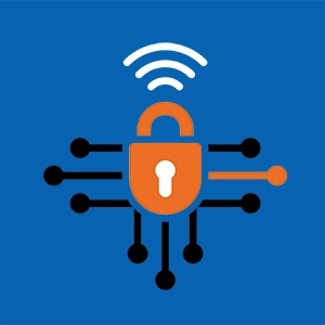 Network Security Test Network Risk