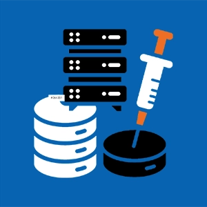 SQL Injection Pen Test Injection Attack
