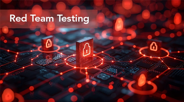 Red Team Penetration Testing Red Team Adversarial
