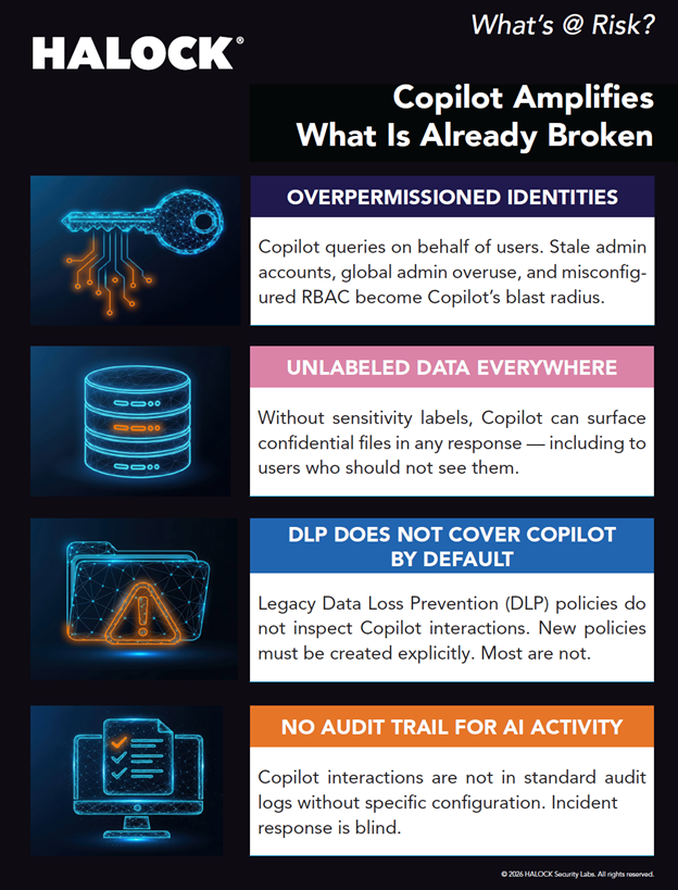 CoPilot AI Risk AI Risk Copilot