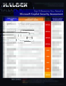 Why CoPilot Risk Assessment HALOCK Brochure